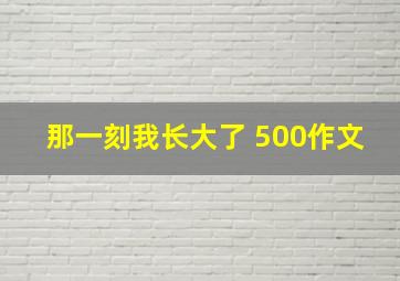 那一刻我长大了 500作文